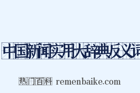 中国新闻实用大辞典反义词是什么意思的图片